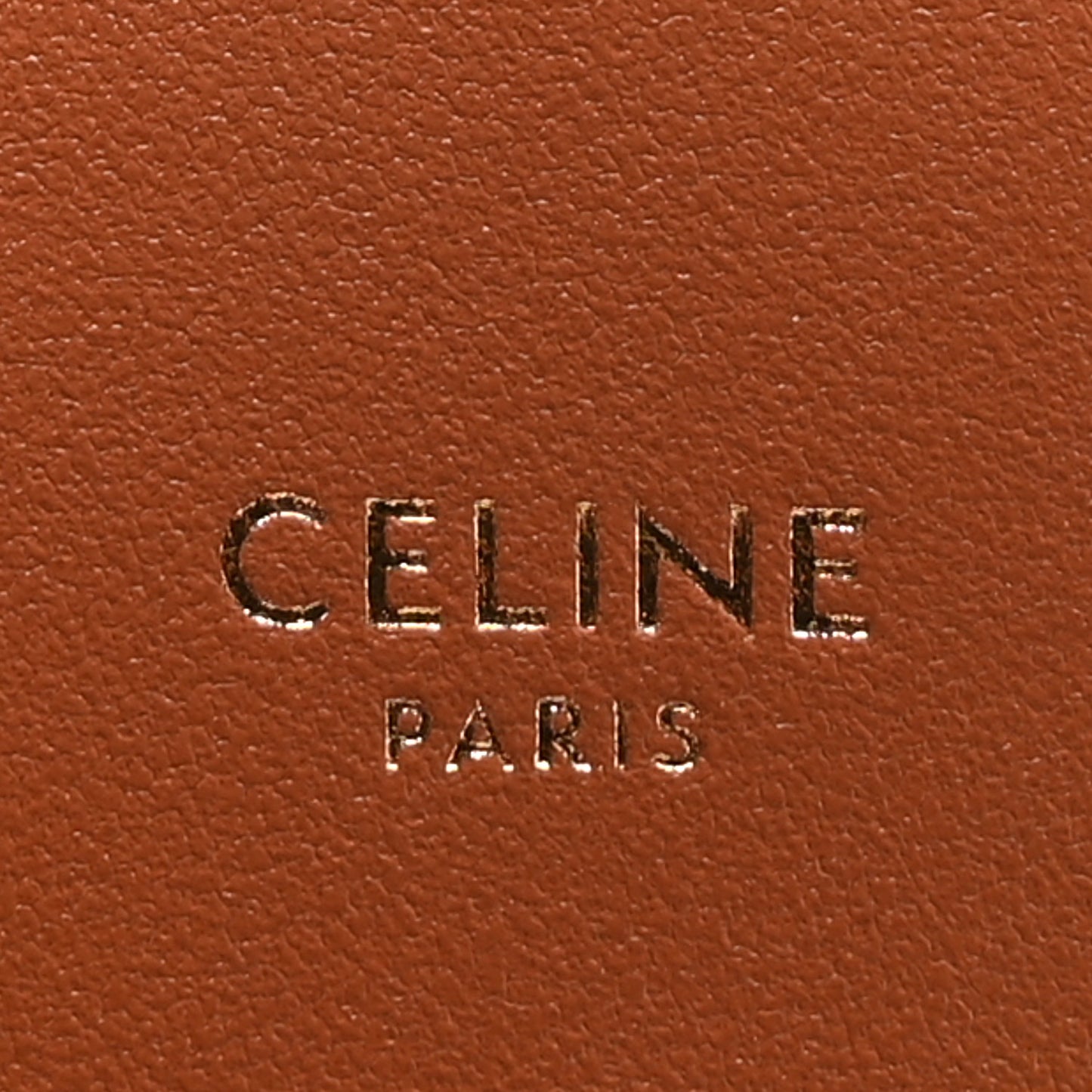 Calfskin Triomphe Canvas Teen Triomphe Bag Tan