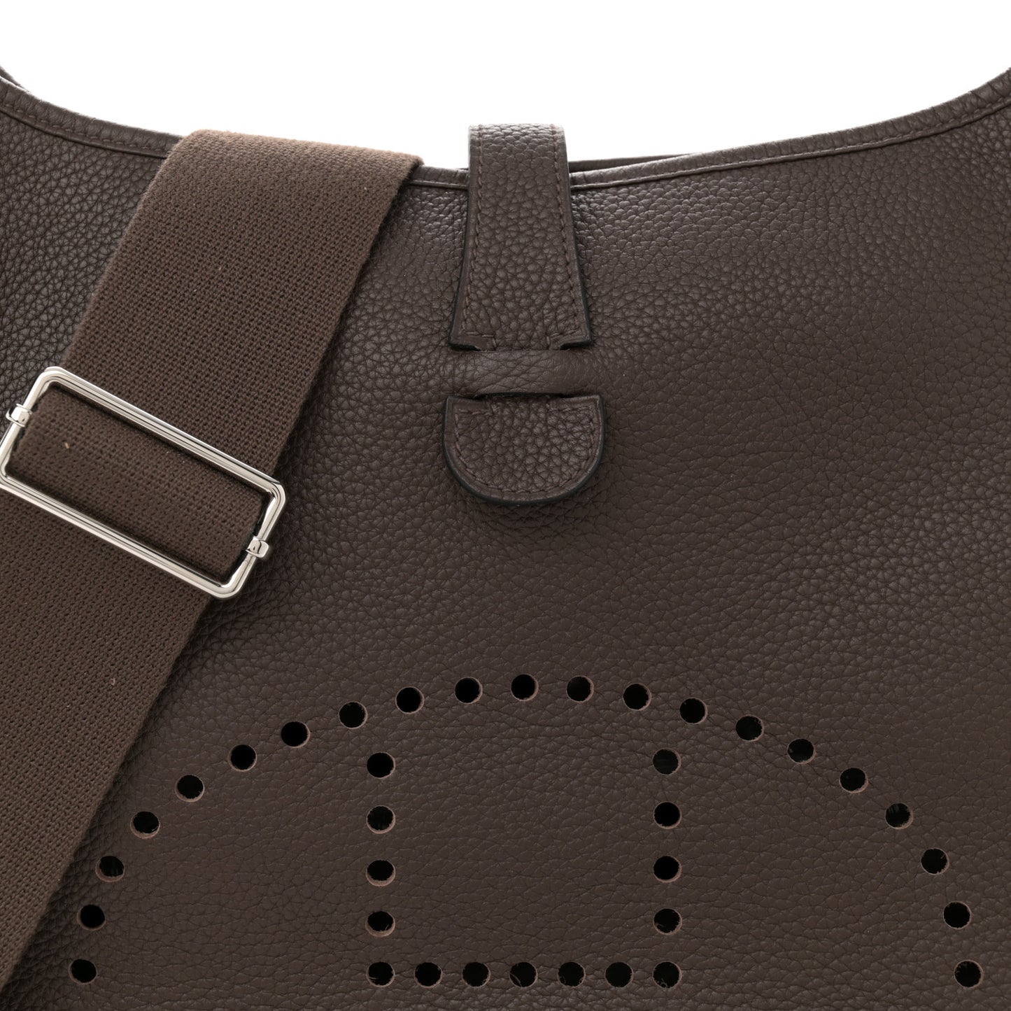 Taurillon Clemence Evelyne III GM Cocoa