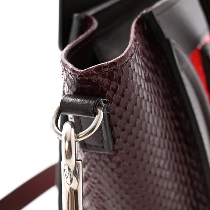 Celine Snakeskin Smooth Calfskin Nano Luggage Chili 10 of 11