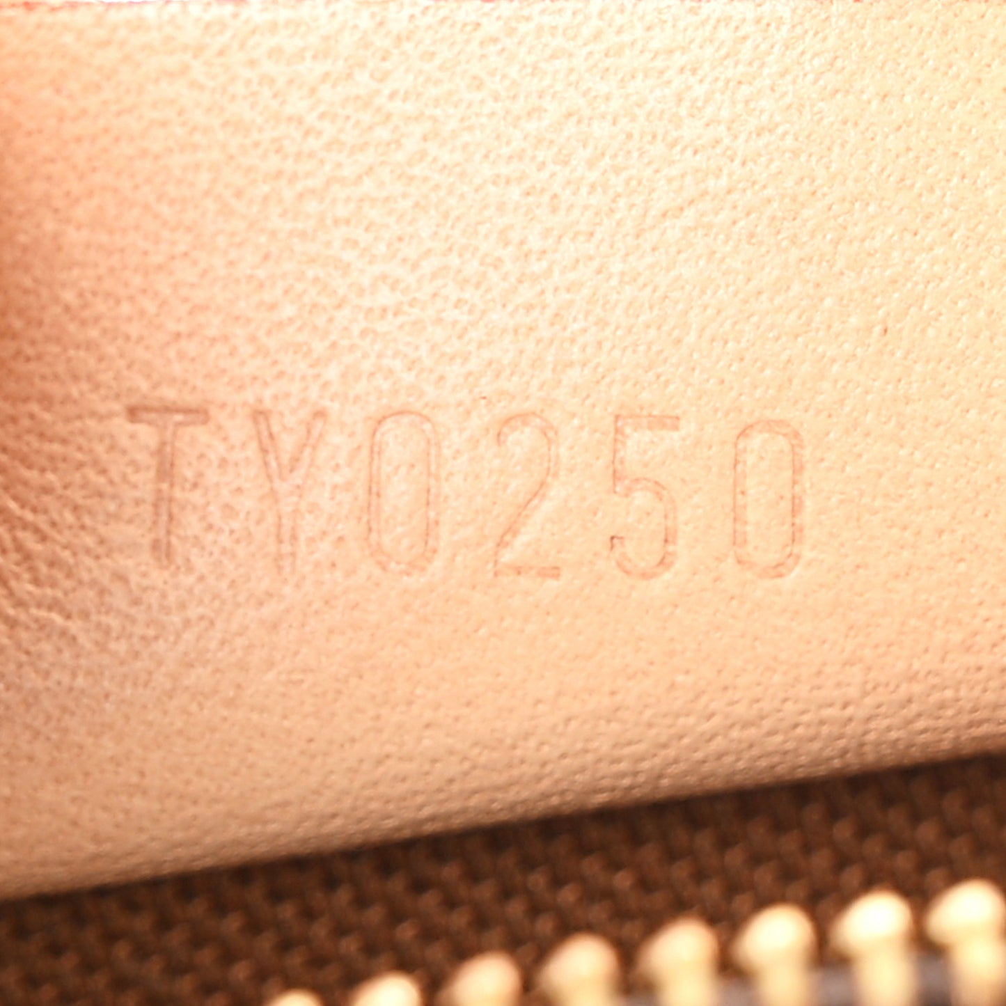 Monogram Nano Speedy