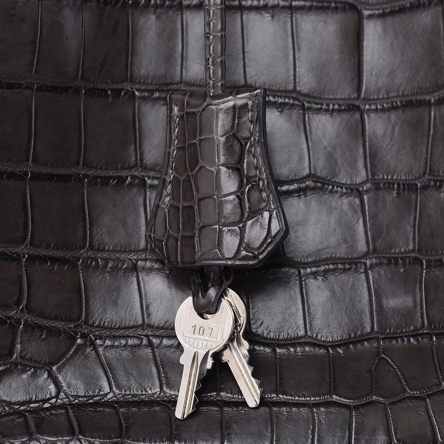 Hermes Matte Niloticus Crocodile Birkin 30 Gris Elephant 19 of 45