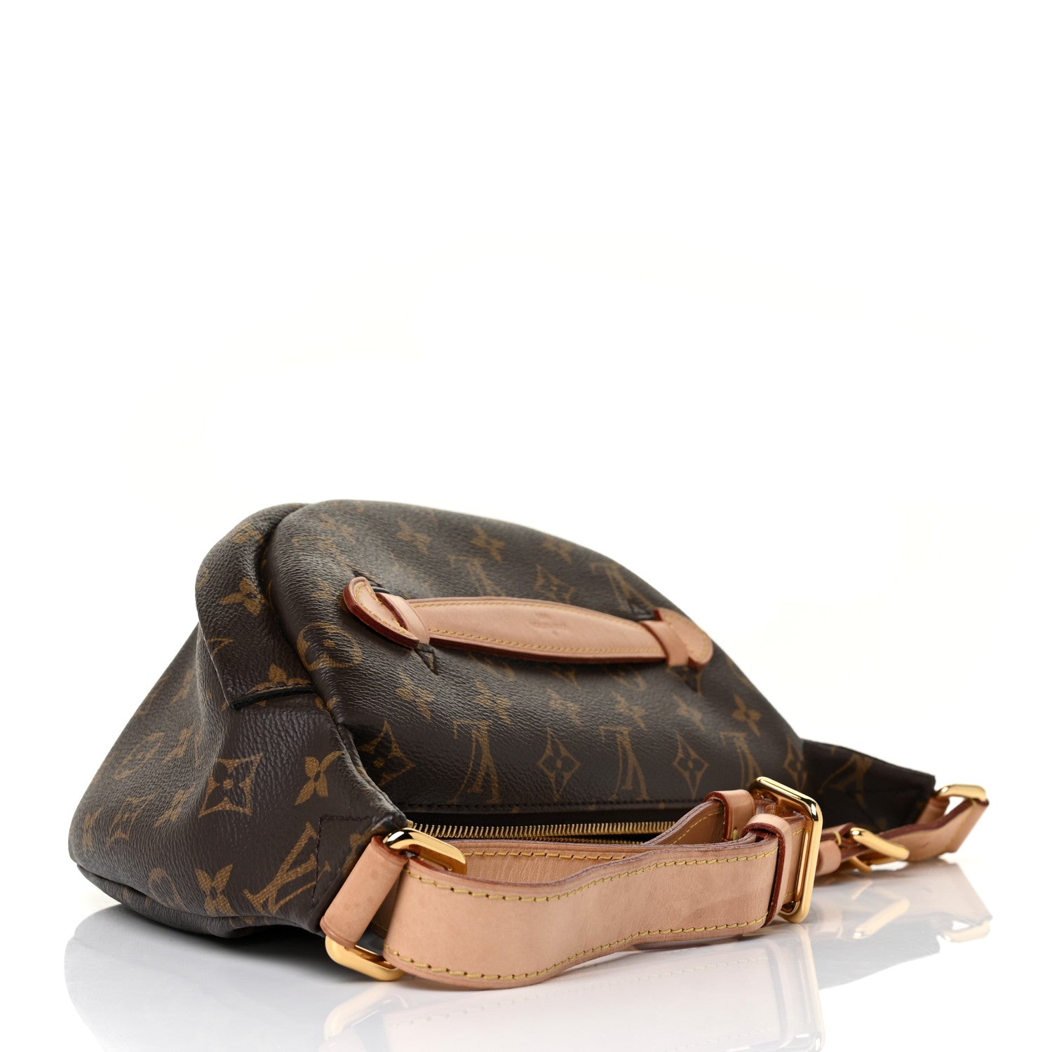 Louis Vuitton Monogram Bumbag 3 of 6