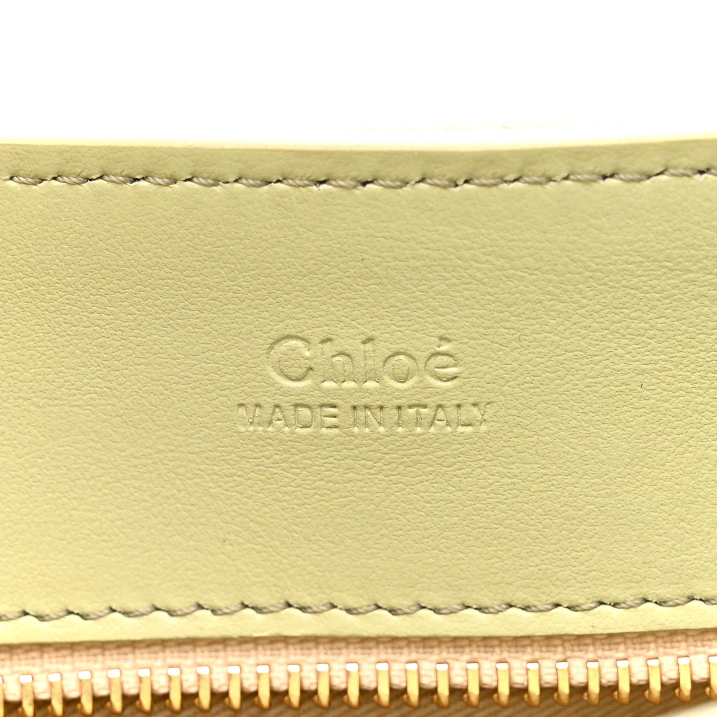 Calfskin Mini Tess Day Bag Light Eucalyptus