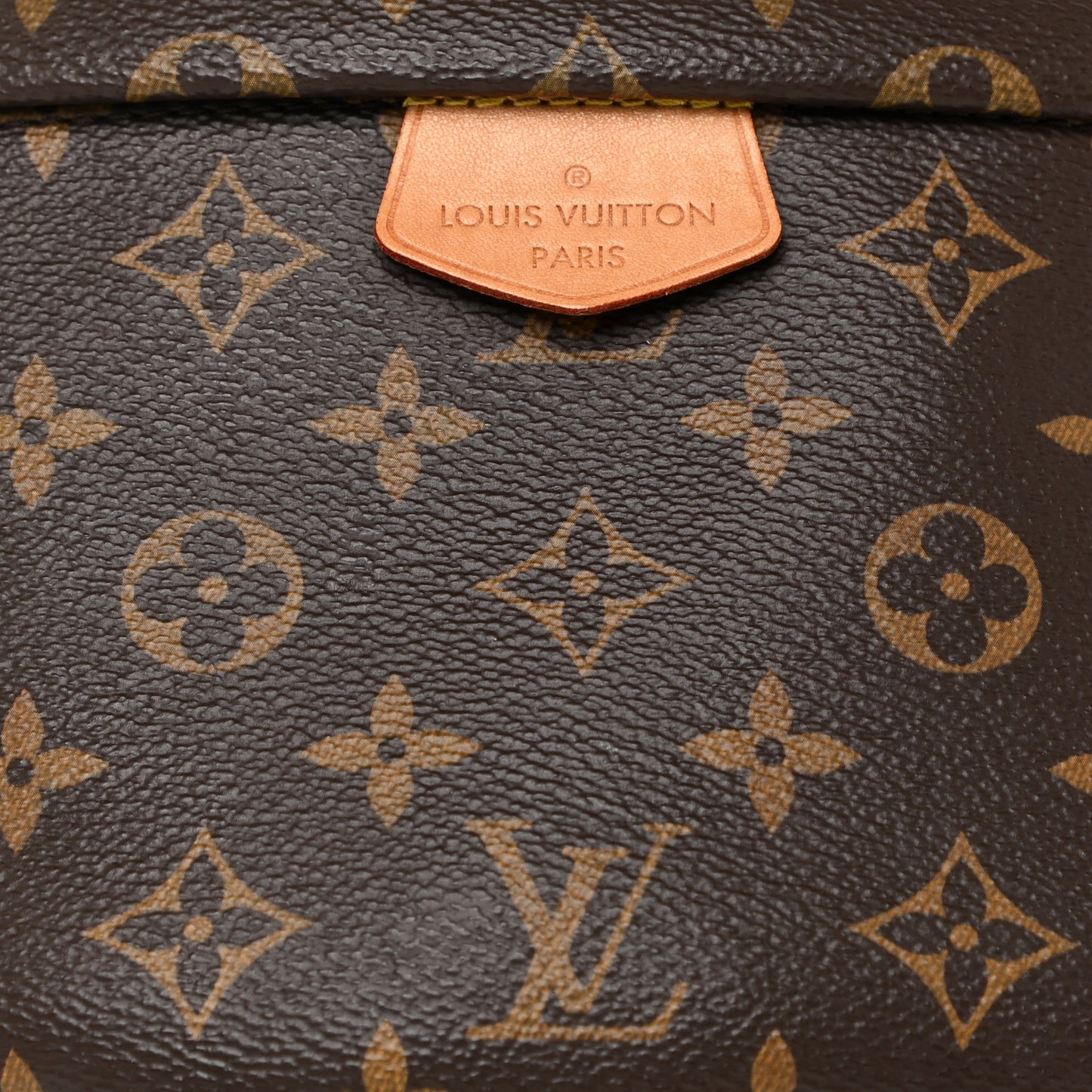 Monogram Bumbag