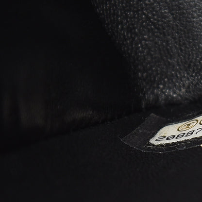 Chanel Galuchat Stingray Small Boy Flap Black 7 of 13