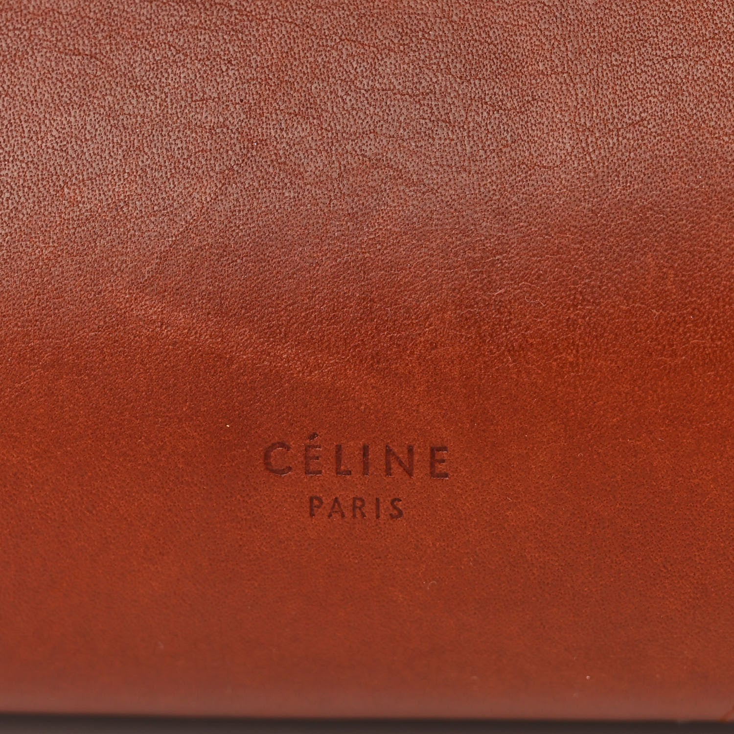 Celine Natural Calfskin Mini Belt Bag Teck 6 of 11