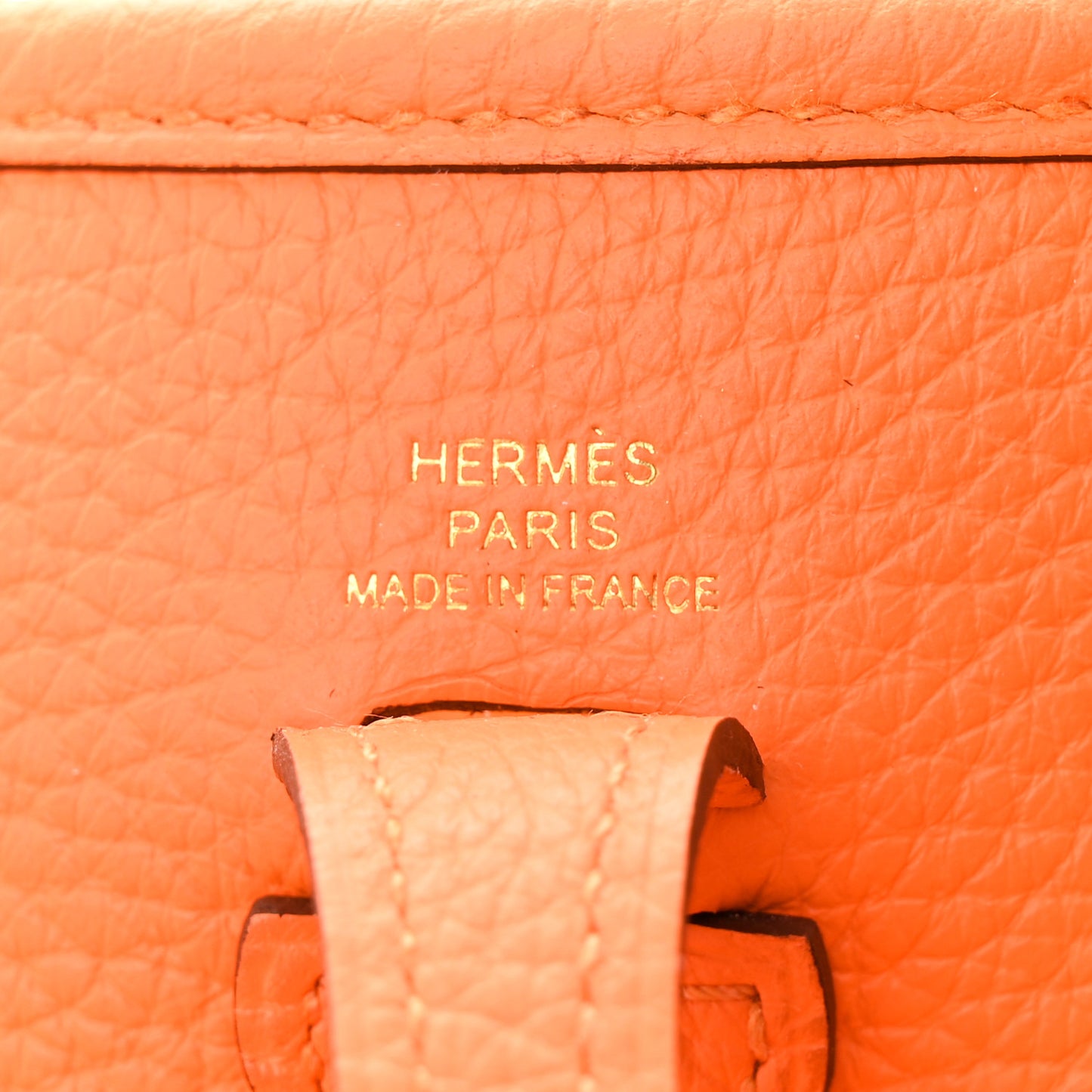 Taurillon Clemence Evelyne TPM Orange