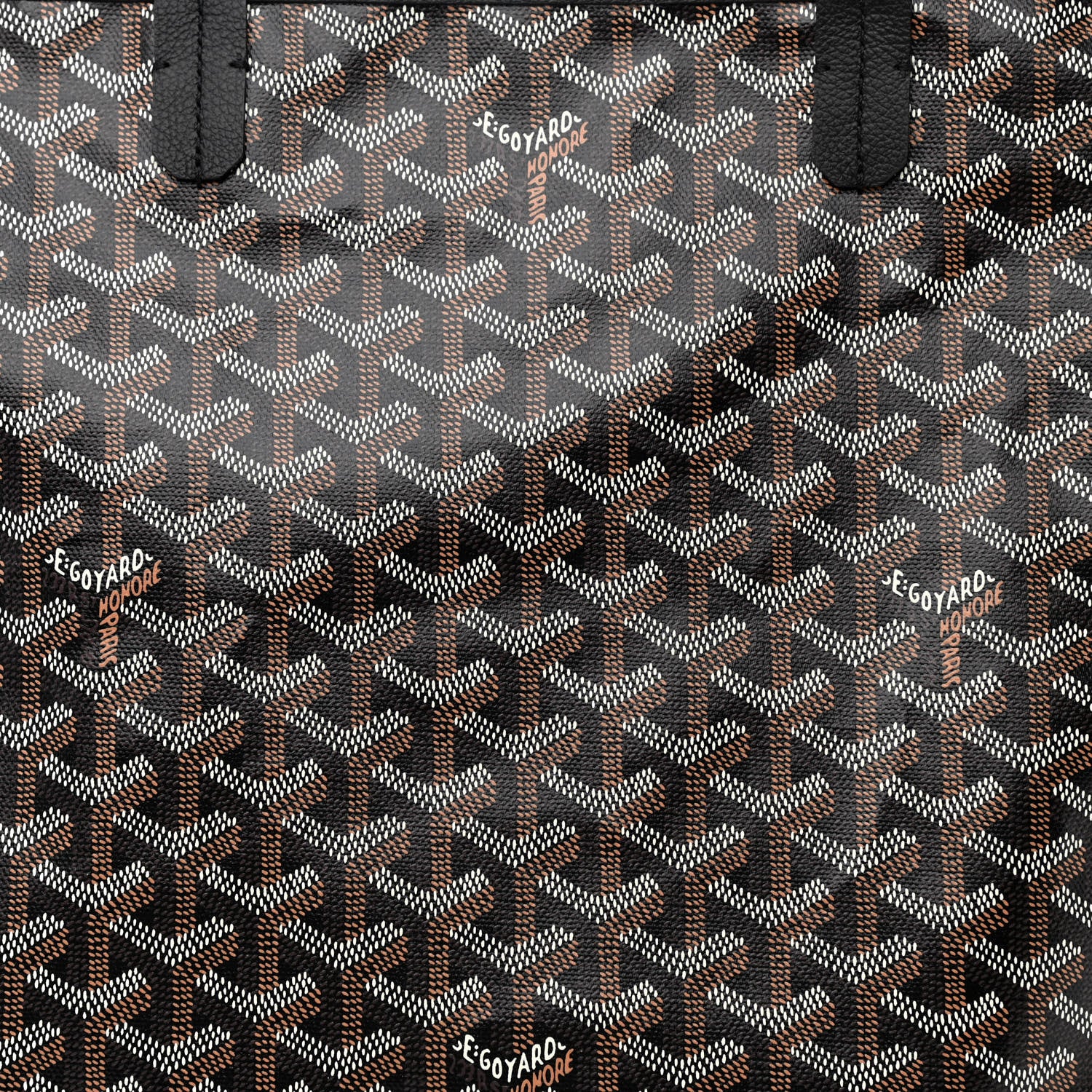 Goyard Goyardine Saint Louis PM Black 10 of 12