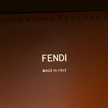Fendi Vitello King Plexiglass Medium Fendi Sunshine Shopper Tote Cuoio 6 of 9
