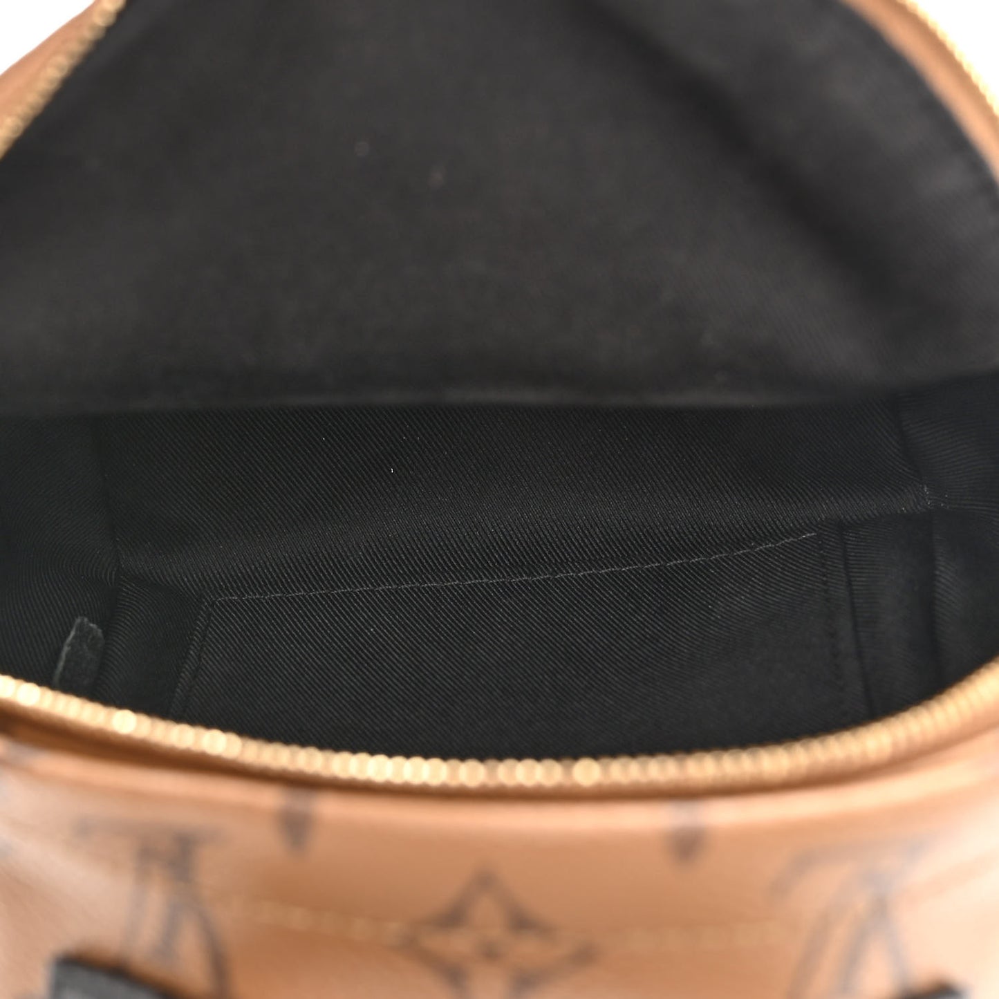 Reverse Monogram Palm Springs Backpack Mini