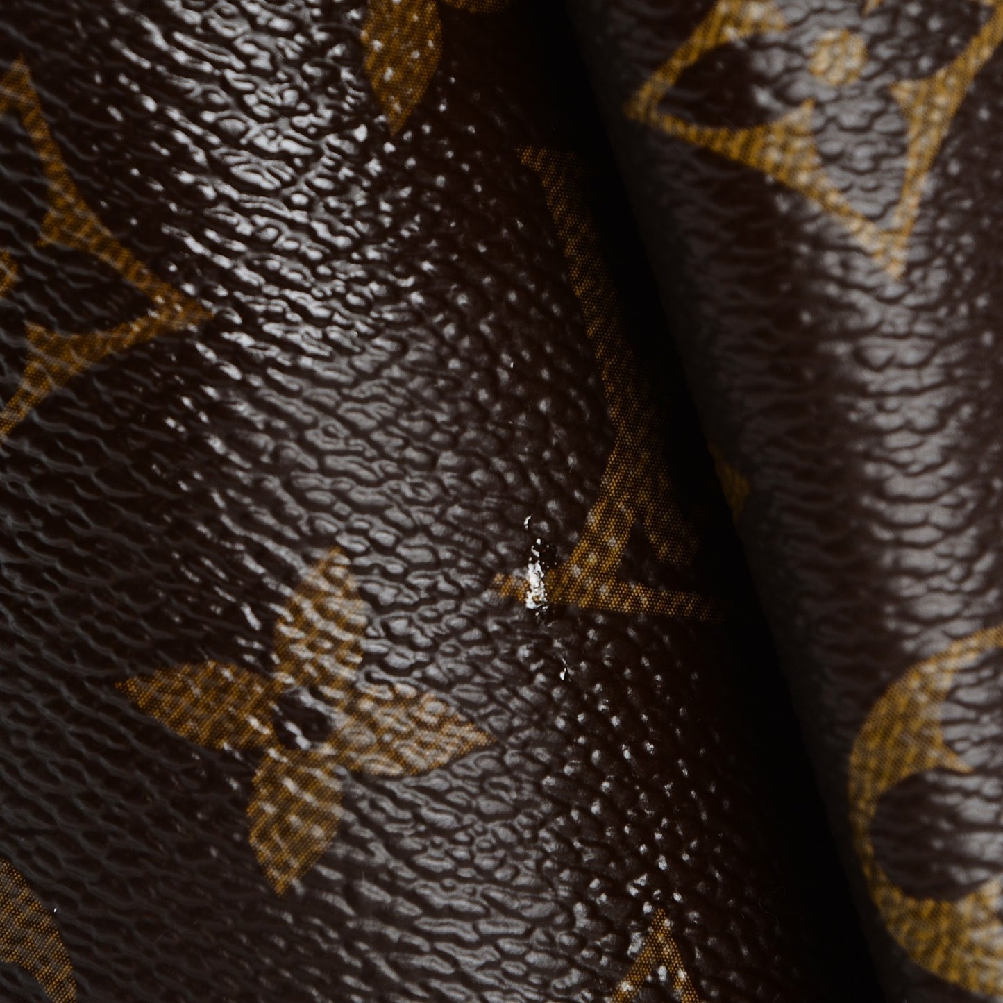 Snakeskin Monogram Artsy MM