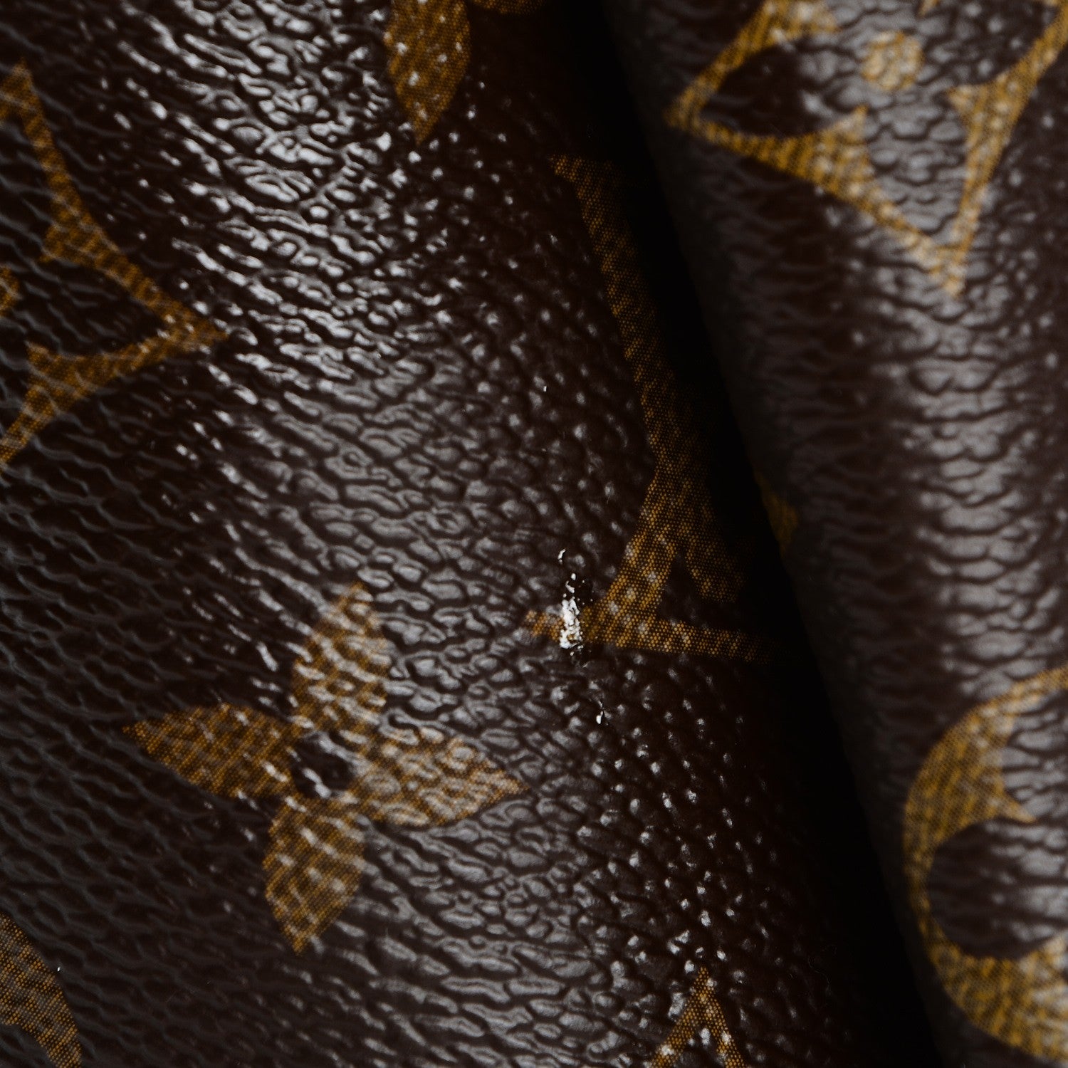 Louis Vuitton Snakeskin Monogram Artsy MM 8 of 12