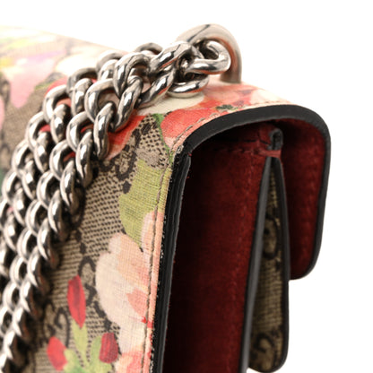 Gucci GG Supreme Monogram Blooms Mini Dionysus Shoulder Bag Beige Multicolor Dry Rose 11 of 14