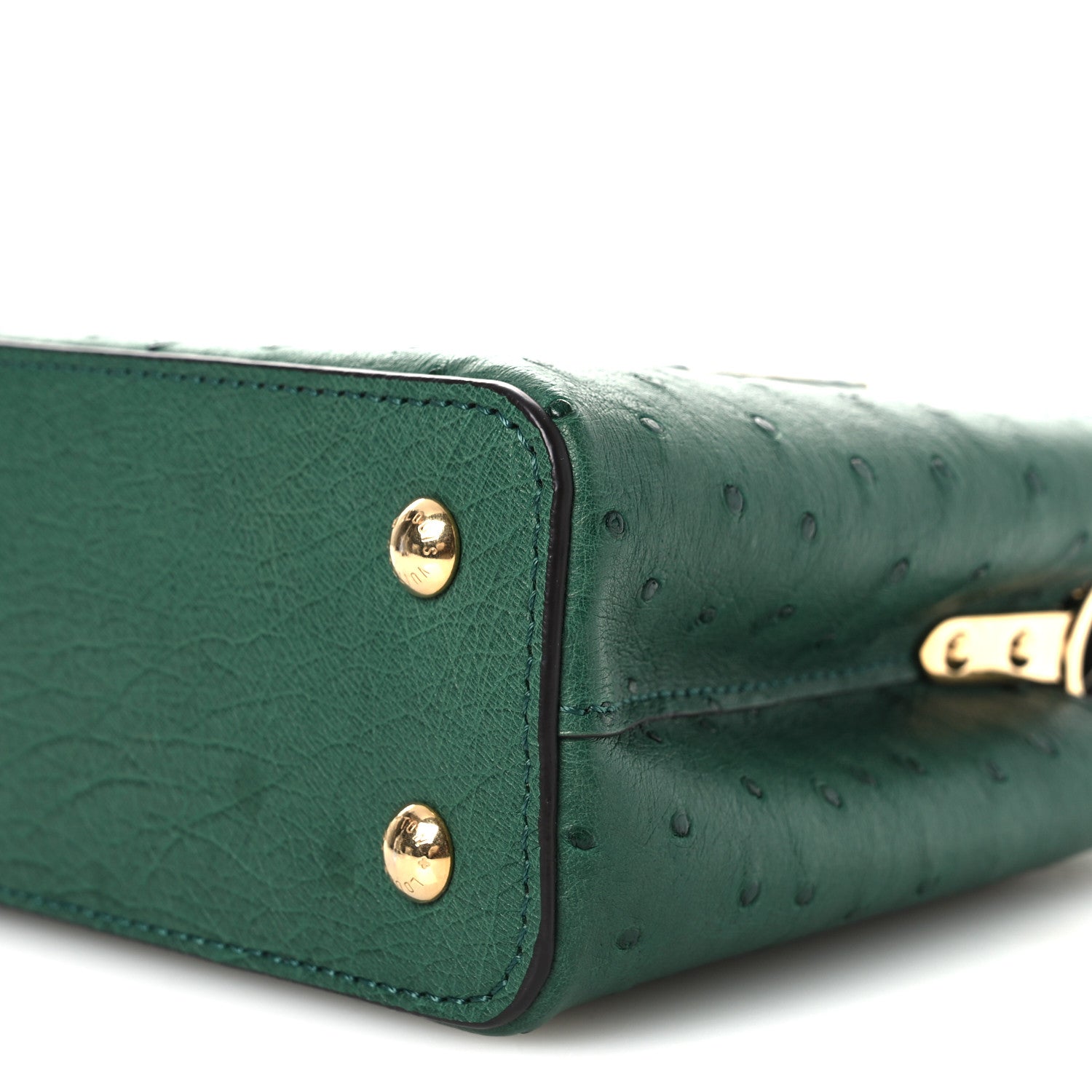 Louis Vuitton Ostrich Capucines Mini Mint 1838785 – FASHIONPHILE