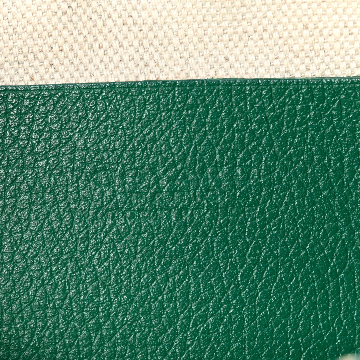 Goyardine Plumet Wallet Clutch Green
