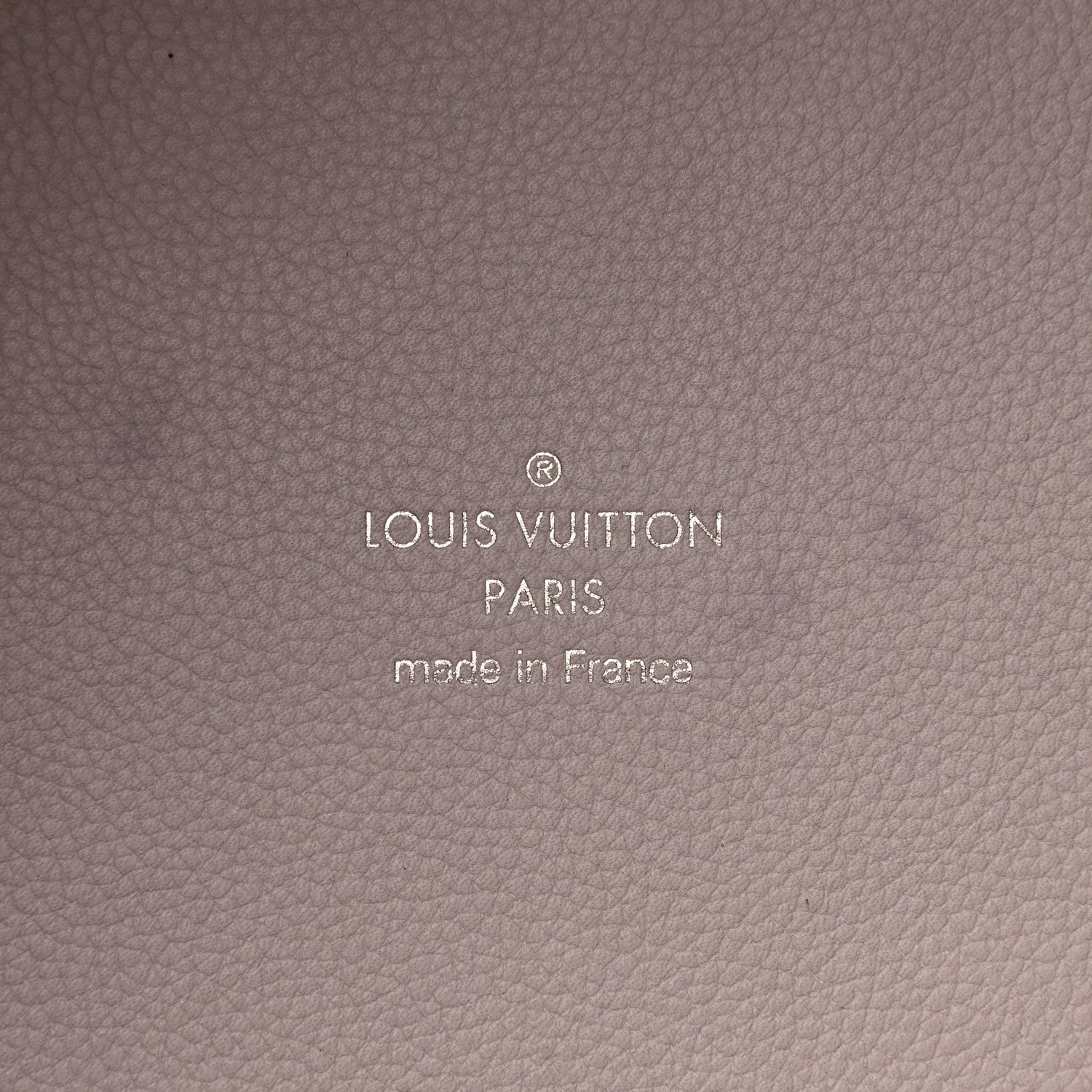 Louis Vuitton Mahina Hina MM Brume 6 of 20