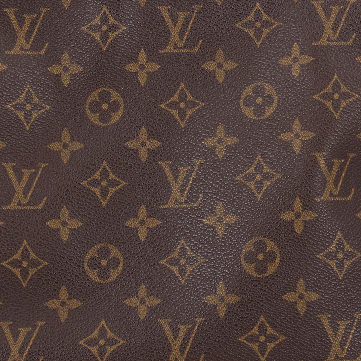 Monogram Looping MM