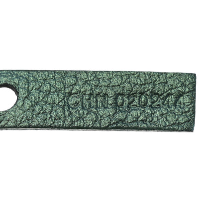 Goyard Iridescent Goyardine Saint Louis PM Pearly Green 8 of 11