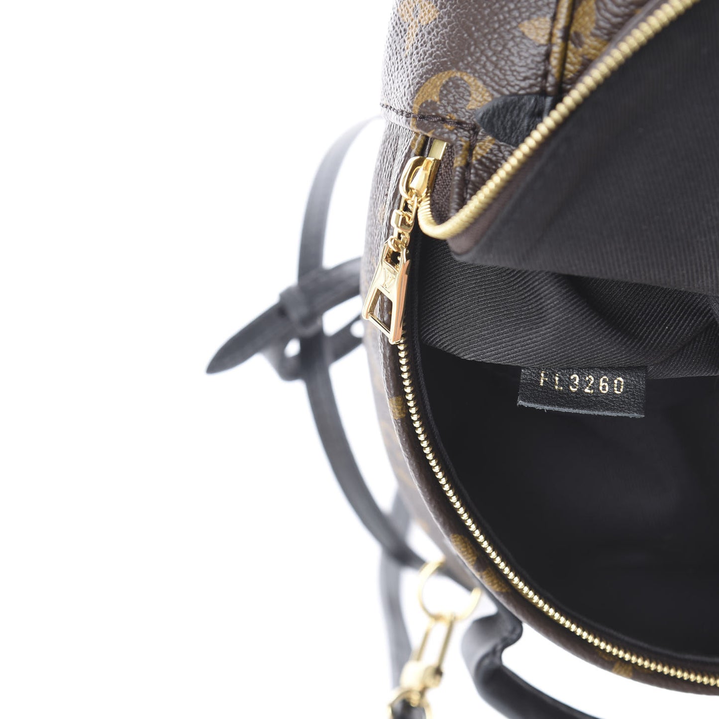 Monogram Palm Springs Backpack Mini