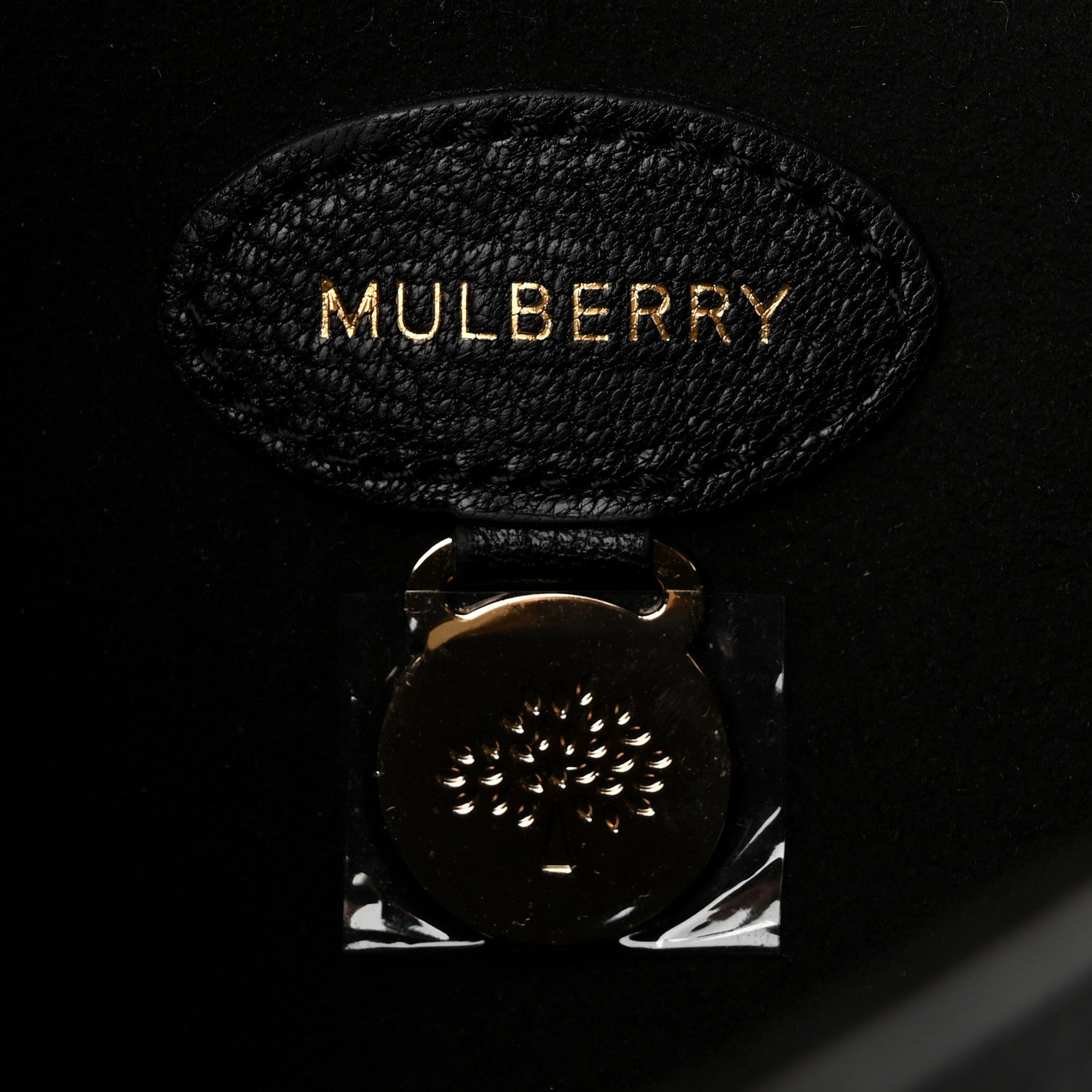 Mulberry Glossy Goat Medium Lily Black 6 of 10