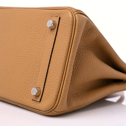Hermes Togo Birkin 25 Biscuit 9 of 9