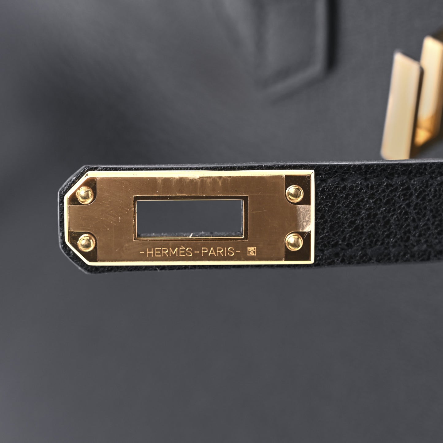 Chevre Chamkila Birkin Sellier 25 Bambou Black