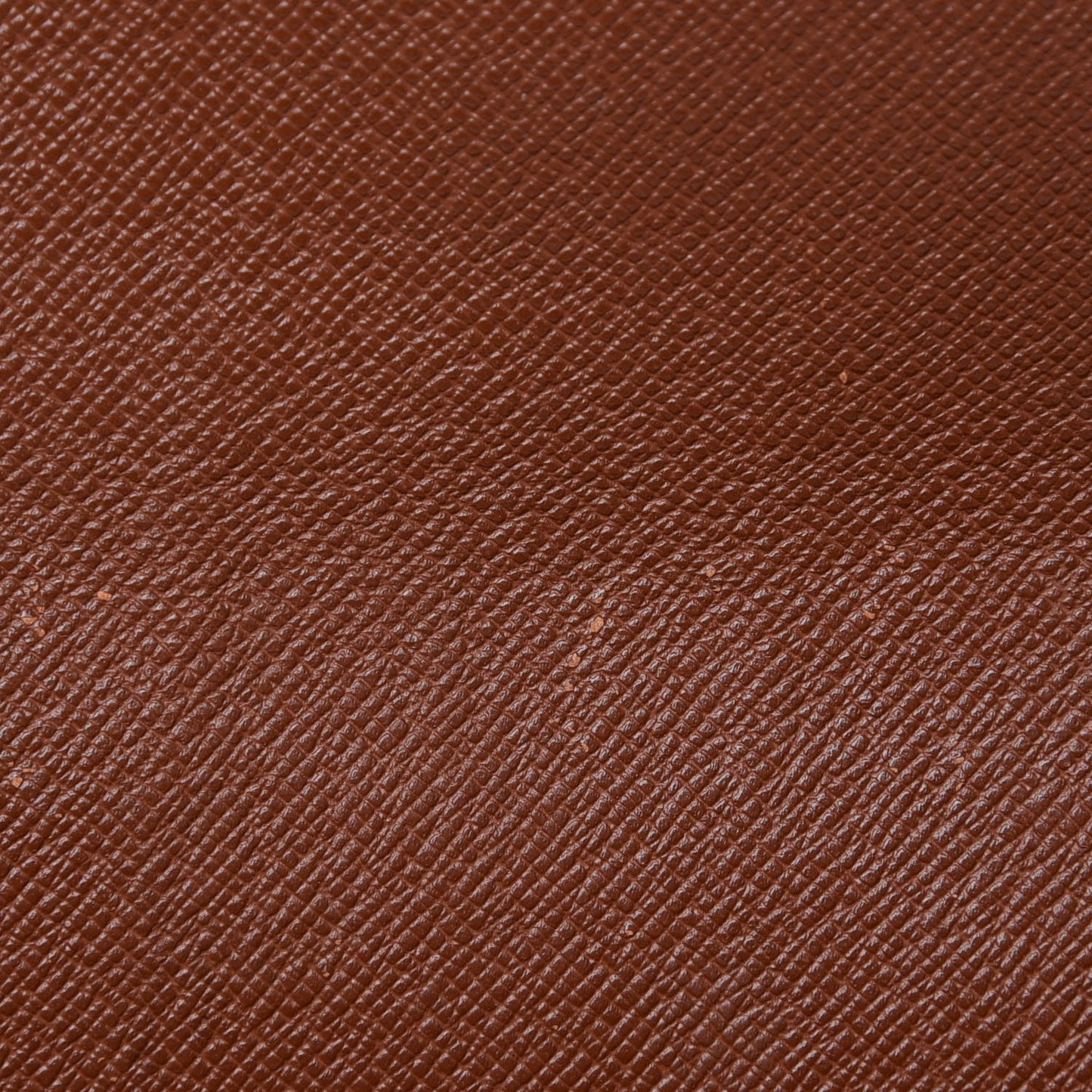 Monogram Musette Tango