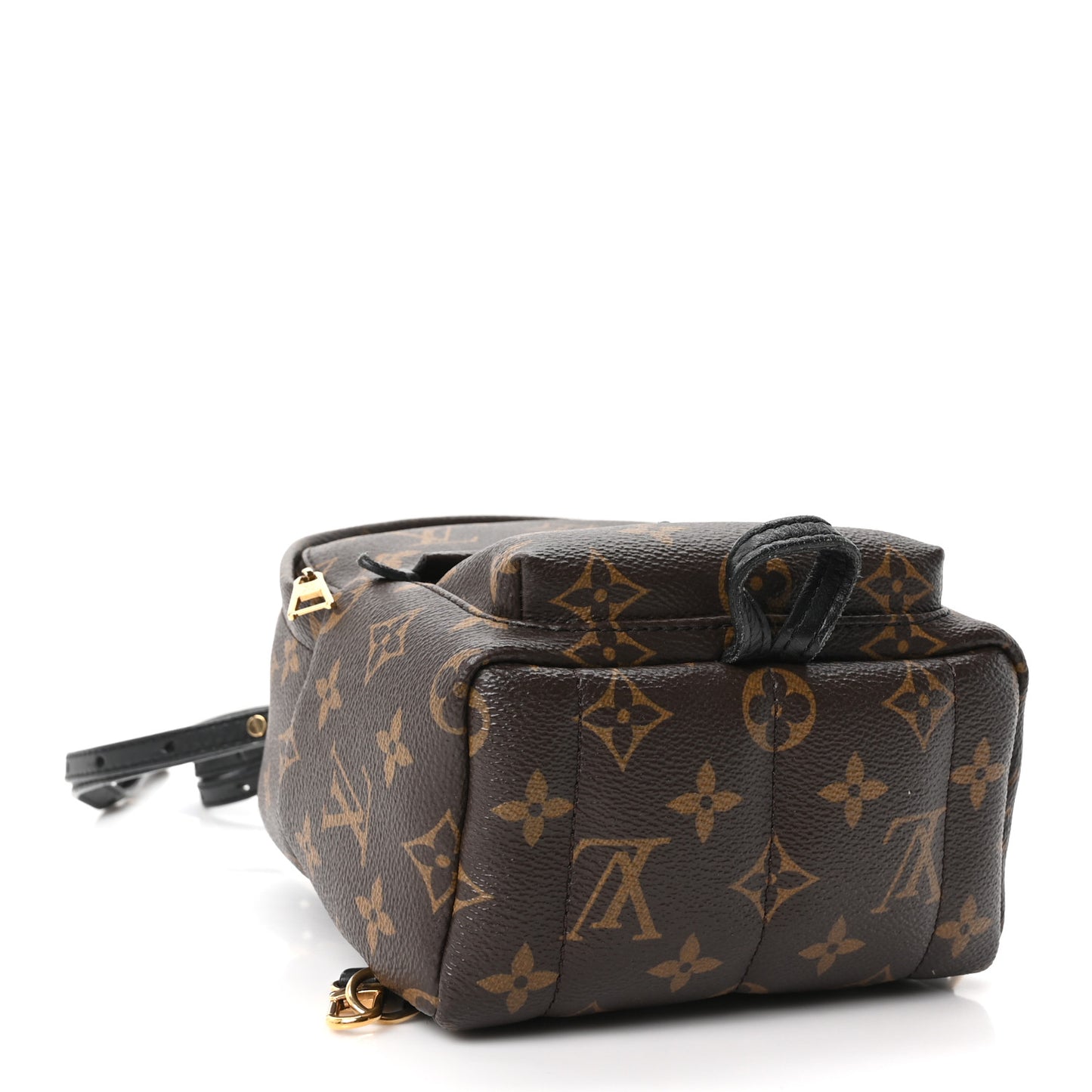 Monogram Palm Springs Backpack Mini