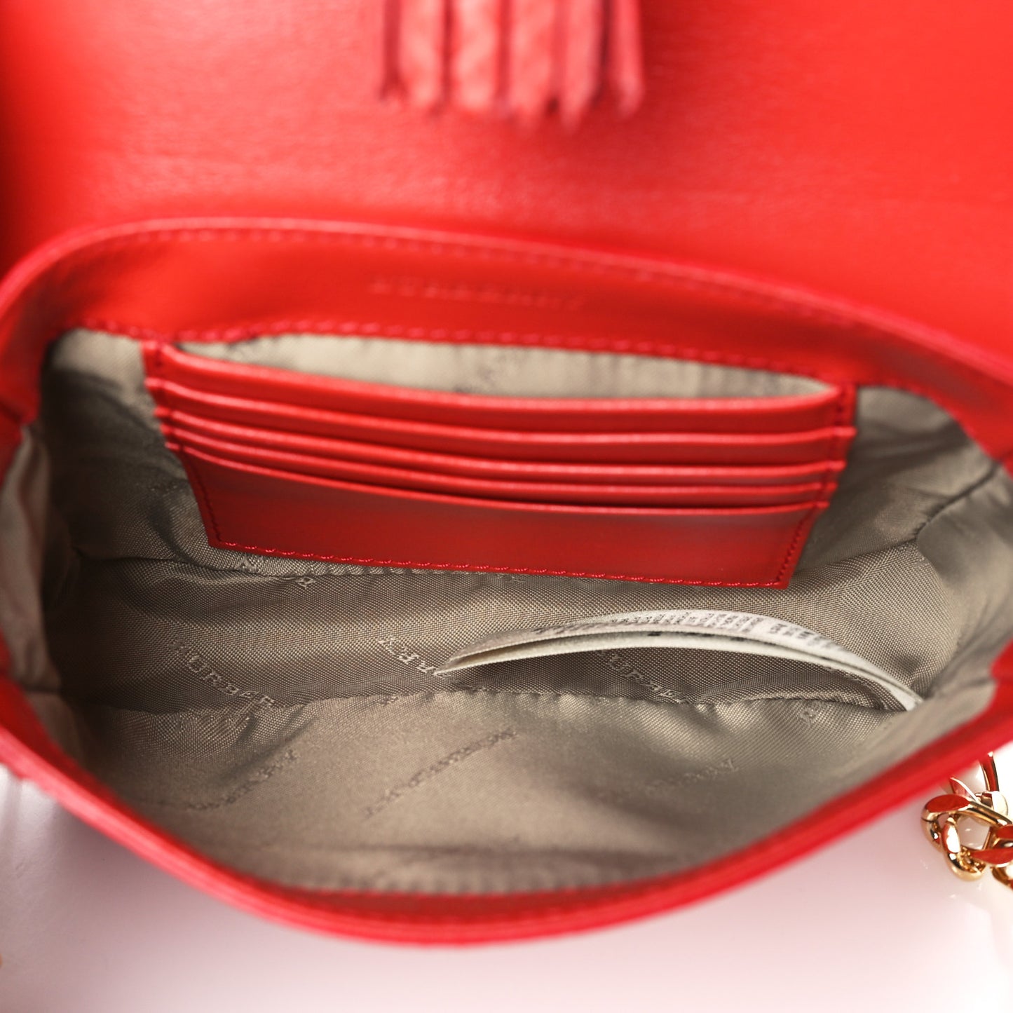 Python London Mini Berkeley Crossbody Bag Cadmium Red