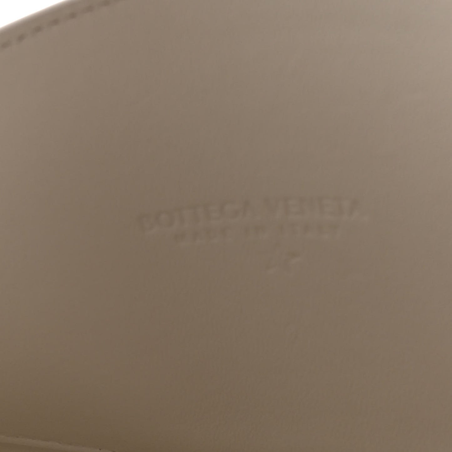 Brushed Calfskin Cradle Fold Over Shoulder Bag White Parakeet