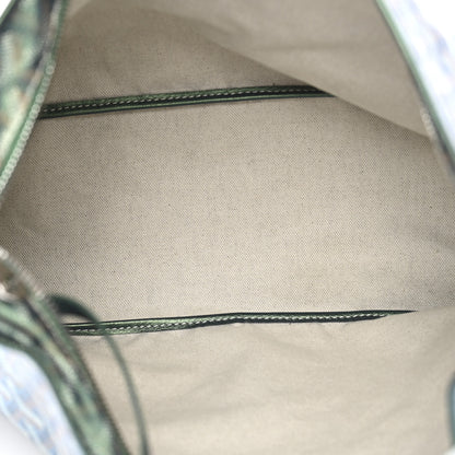 Goyard Iridescent Goyardine Boheme Hobo Pearly Green 6 of 14