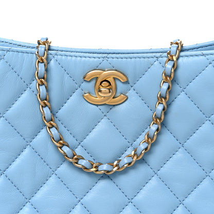 Chanel Lambskin Quilted Small Pearl Crush Hobo Light Blue 8 of 11