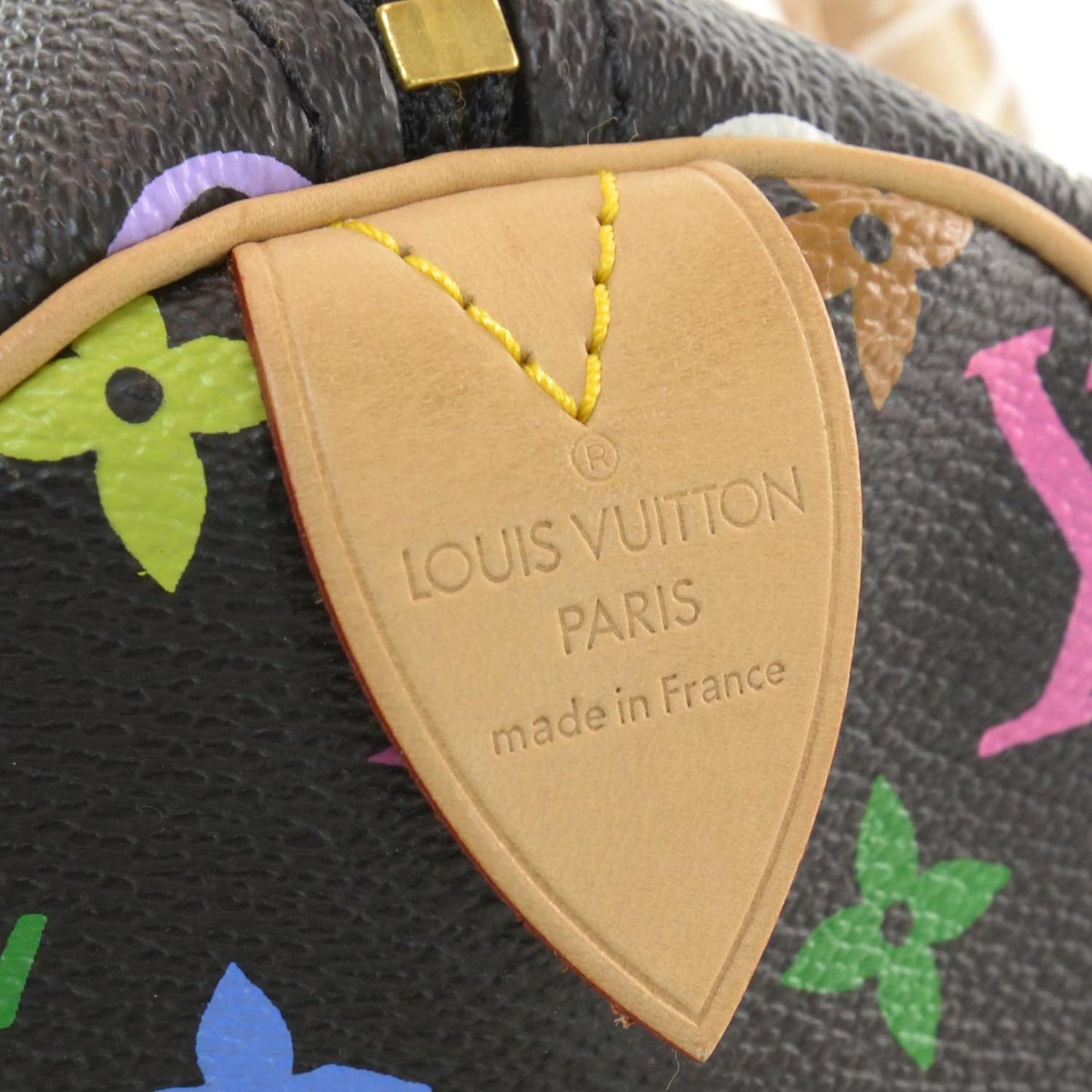 Monogram Multicolor Speedy 30 Black