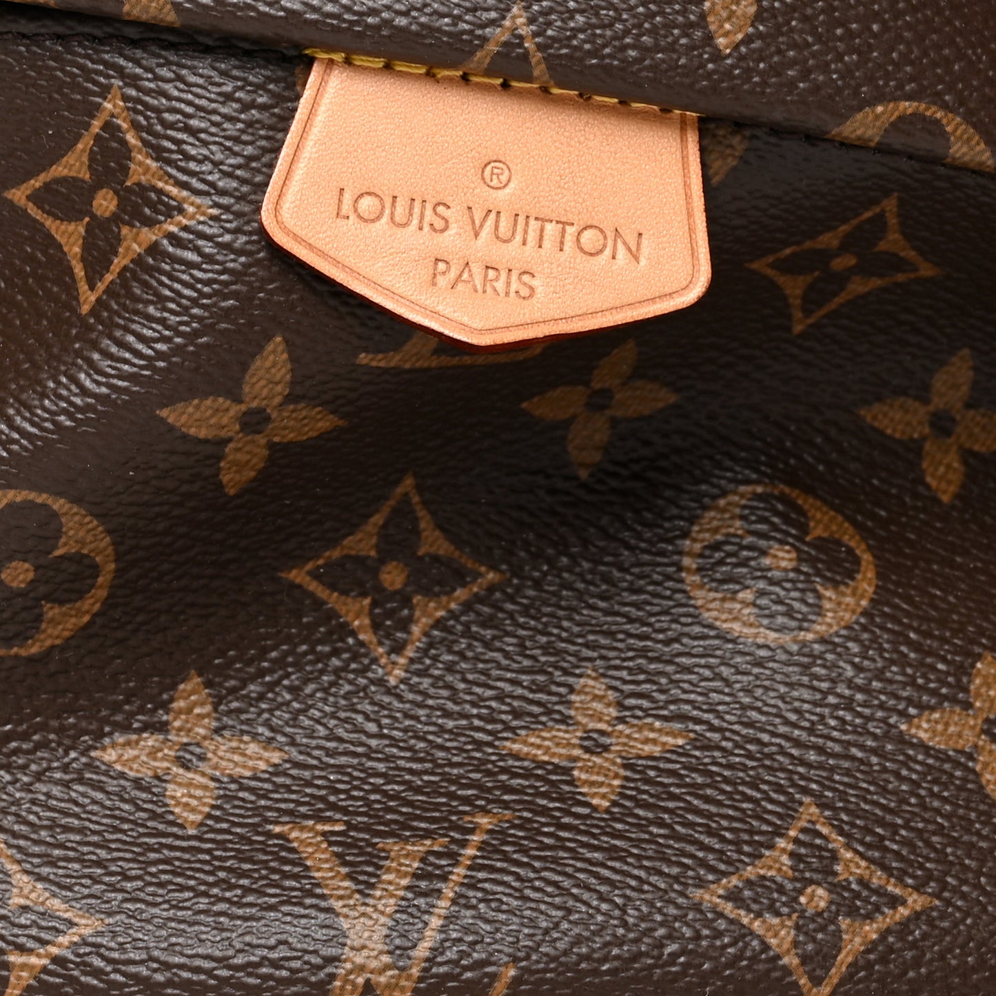 Monogram Bumbag