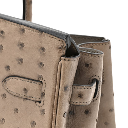 Hermes Ostrich Birkin 30 Mousse 17 of 17
