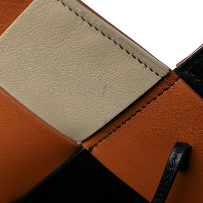 Loewe Calfskin Woven Studded Basket Surplus Bag Multicolor 11 of 12