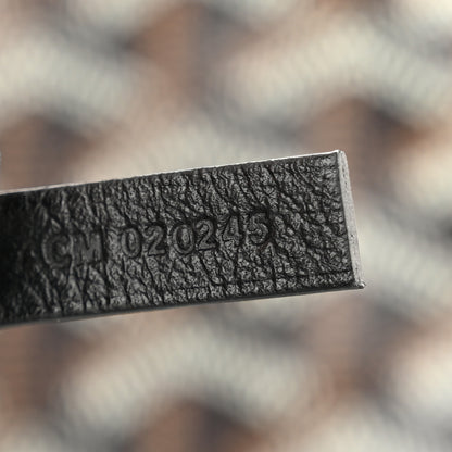 Goyard Goyardine Saint Louis PM Black 14 of 21