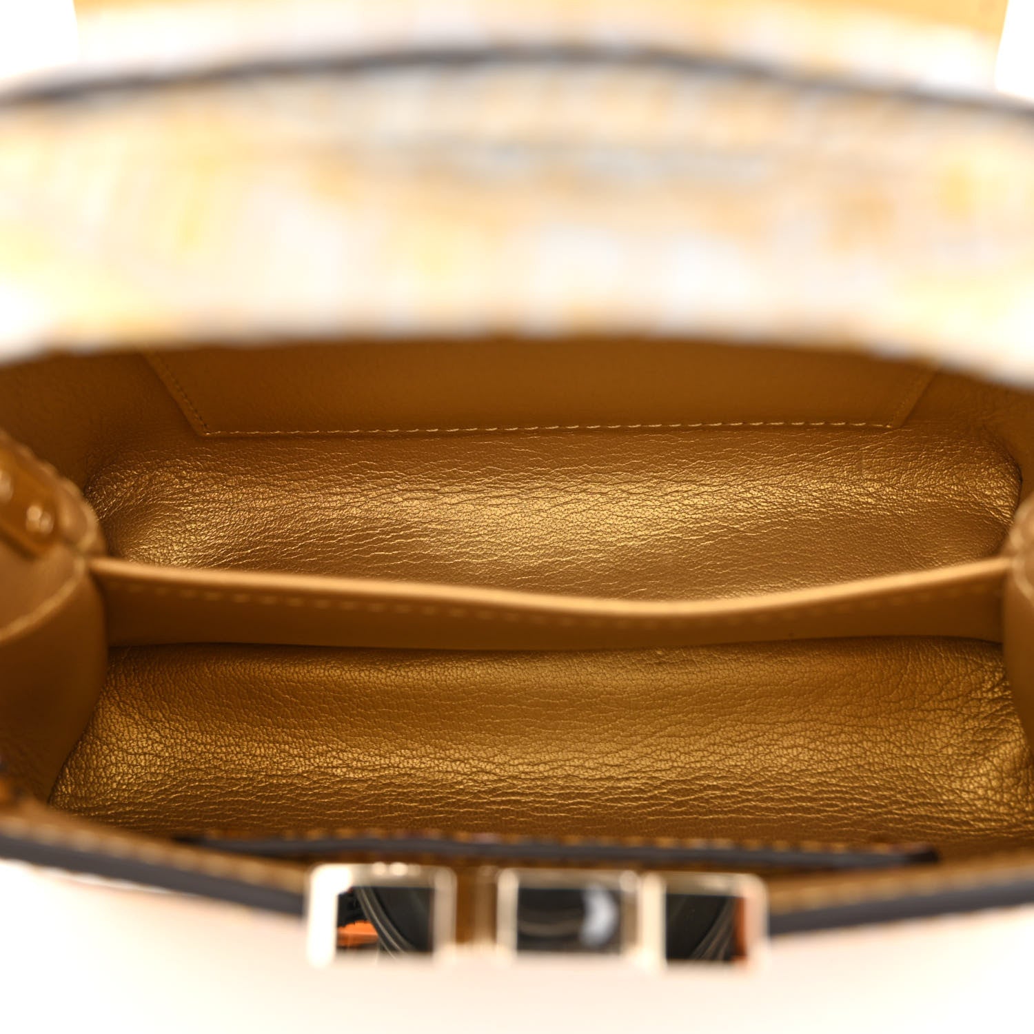 Louis Vuitton Alligator Mini Capucines Royal Garden 5 of 9