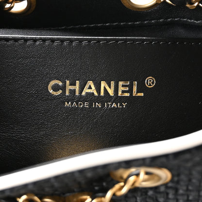 Chanel Braided Raffia Calfskin Quilted Mini Chanel 25 Handbag Black White 6 of 11
