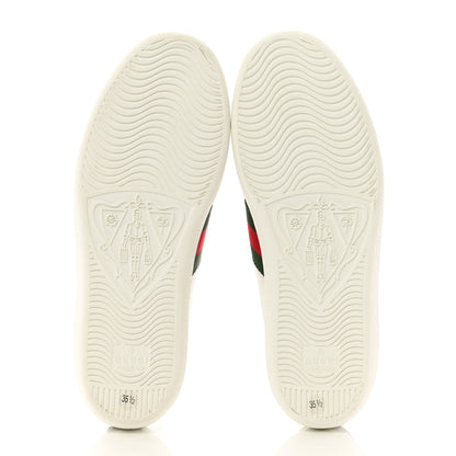 Gucci Calfskin Crocodile Web Womens Ace Sneakers 35.5 White Green 5 of 9