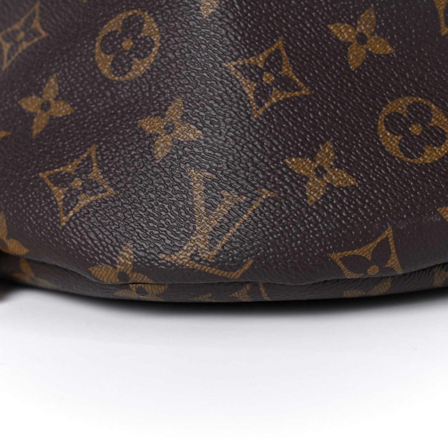 Louis Vuitton Monogram Bumbag 9 of 22