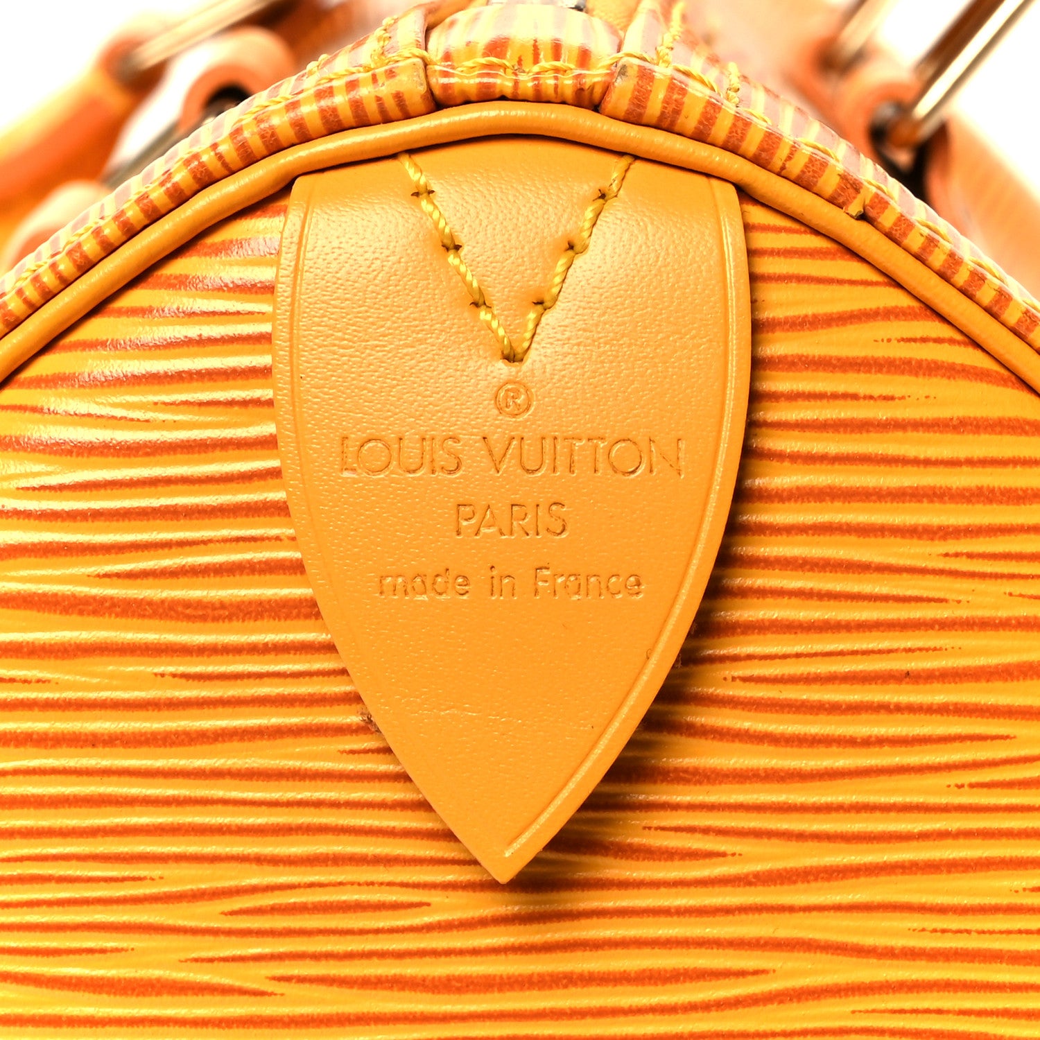 Louis Vuitton Epi Speedy 25 Tassil 7 of 10