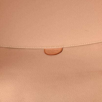 Louis Vuitton Monogram Nice 11 of 18