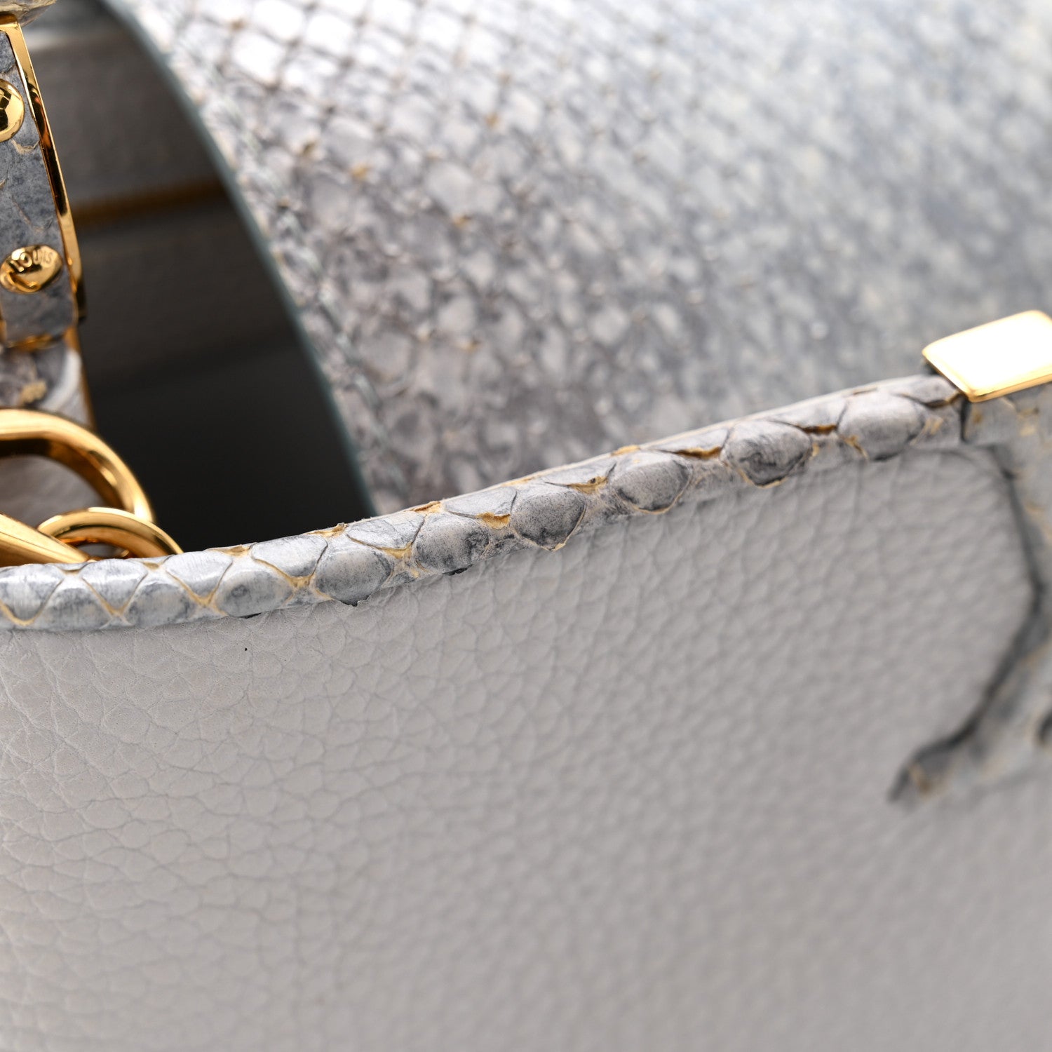 Louis Vuitton Taurillon Snakeskin Capucines BB 11 of 11