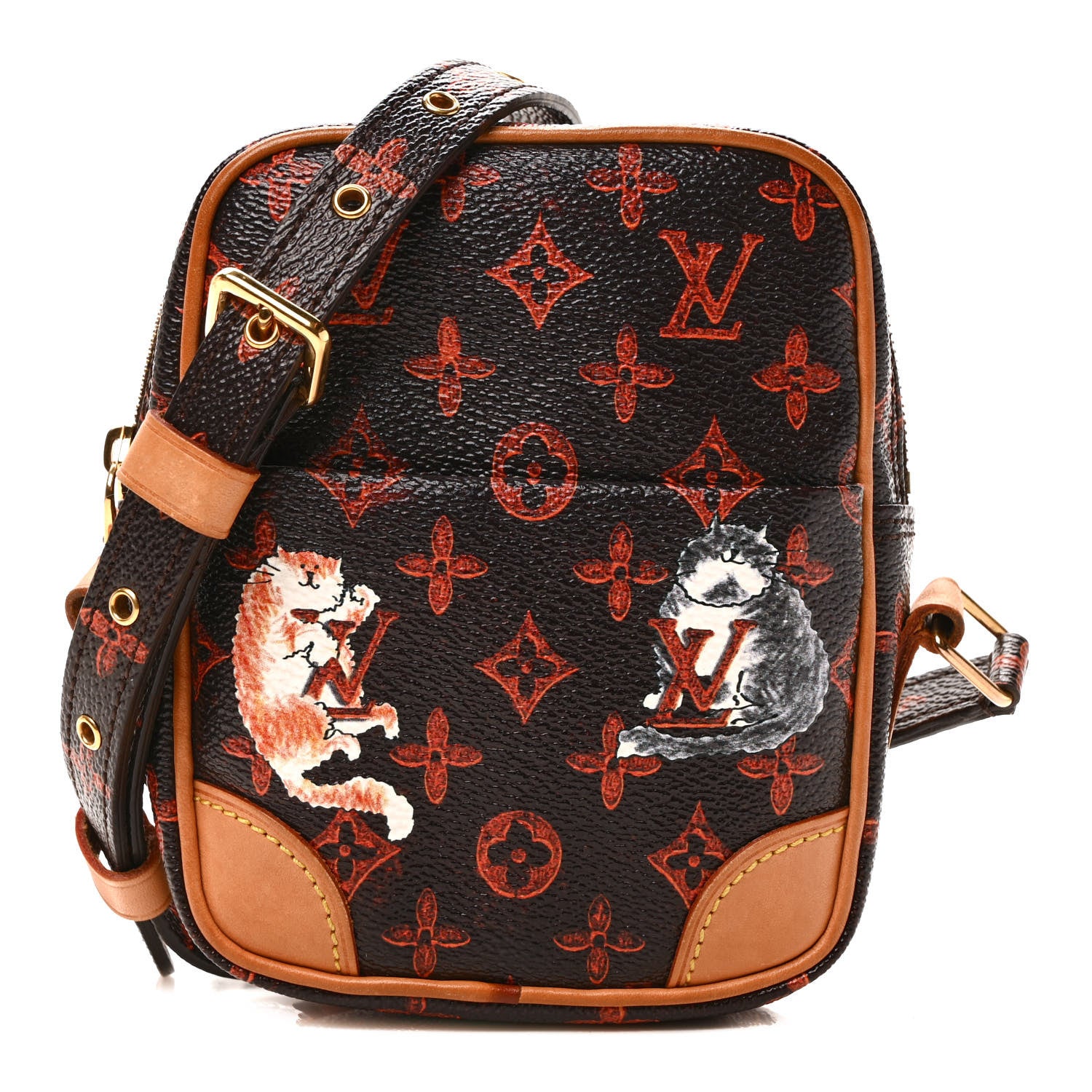 Louis Vuitton Catogram Small Paname Marron 1 of 8
