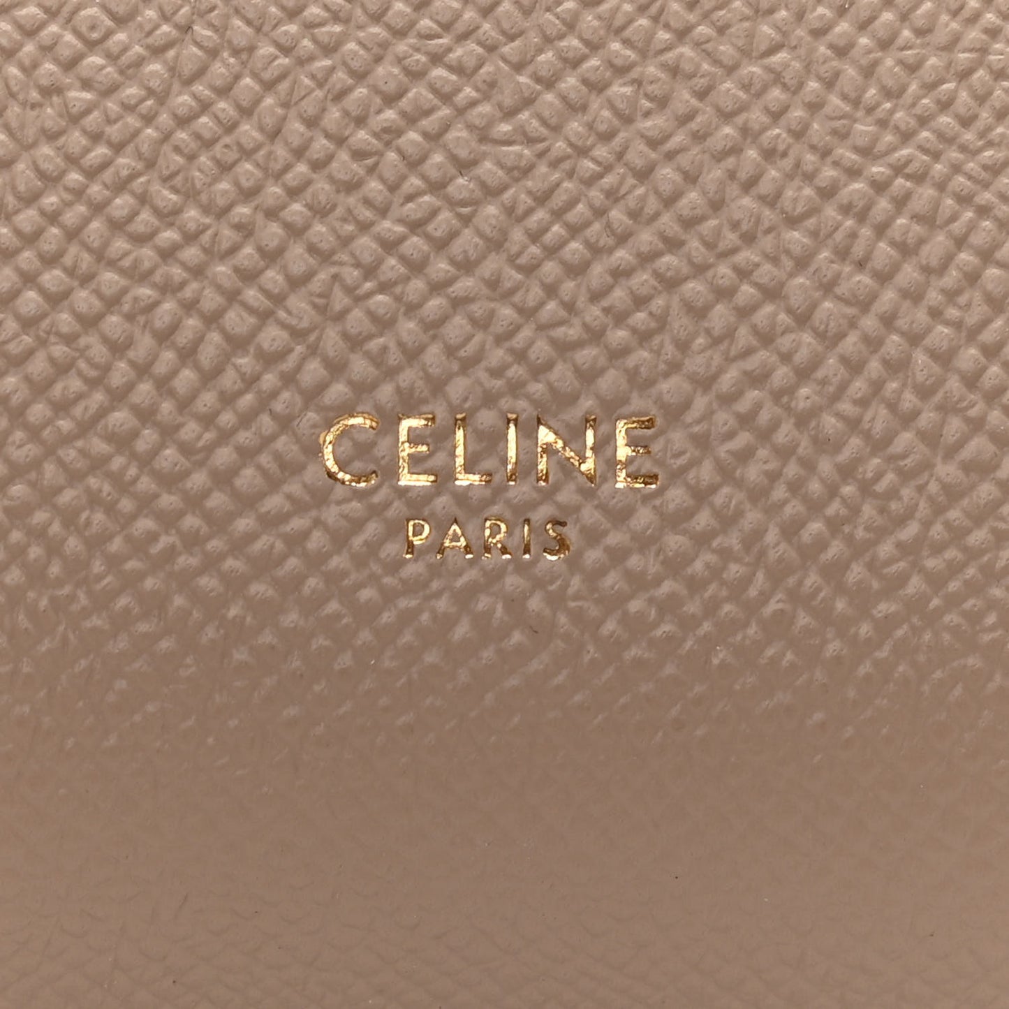 Grained Calfskin Nano Belt Bag Light Taupe
