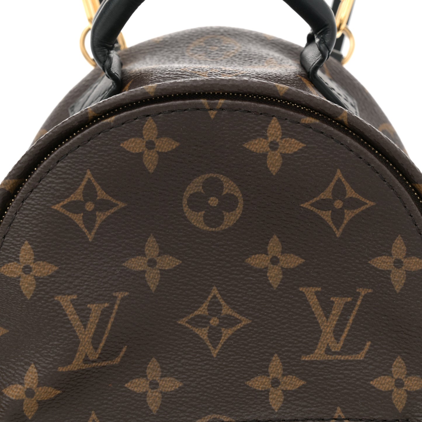 Monogram Palm Springs Backpack Mini
