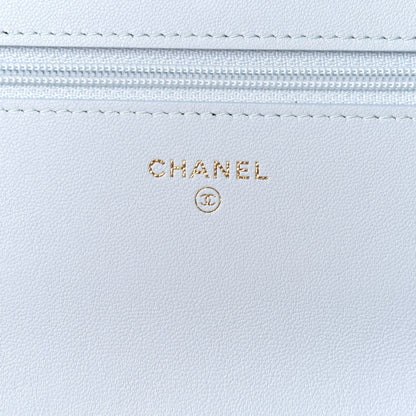 Chanel Lambskin Quilted Chanel 19 Wallet On Chain WOC Light Blue 5 of 11