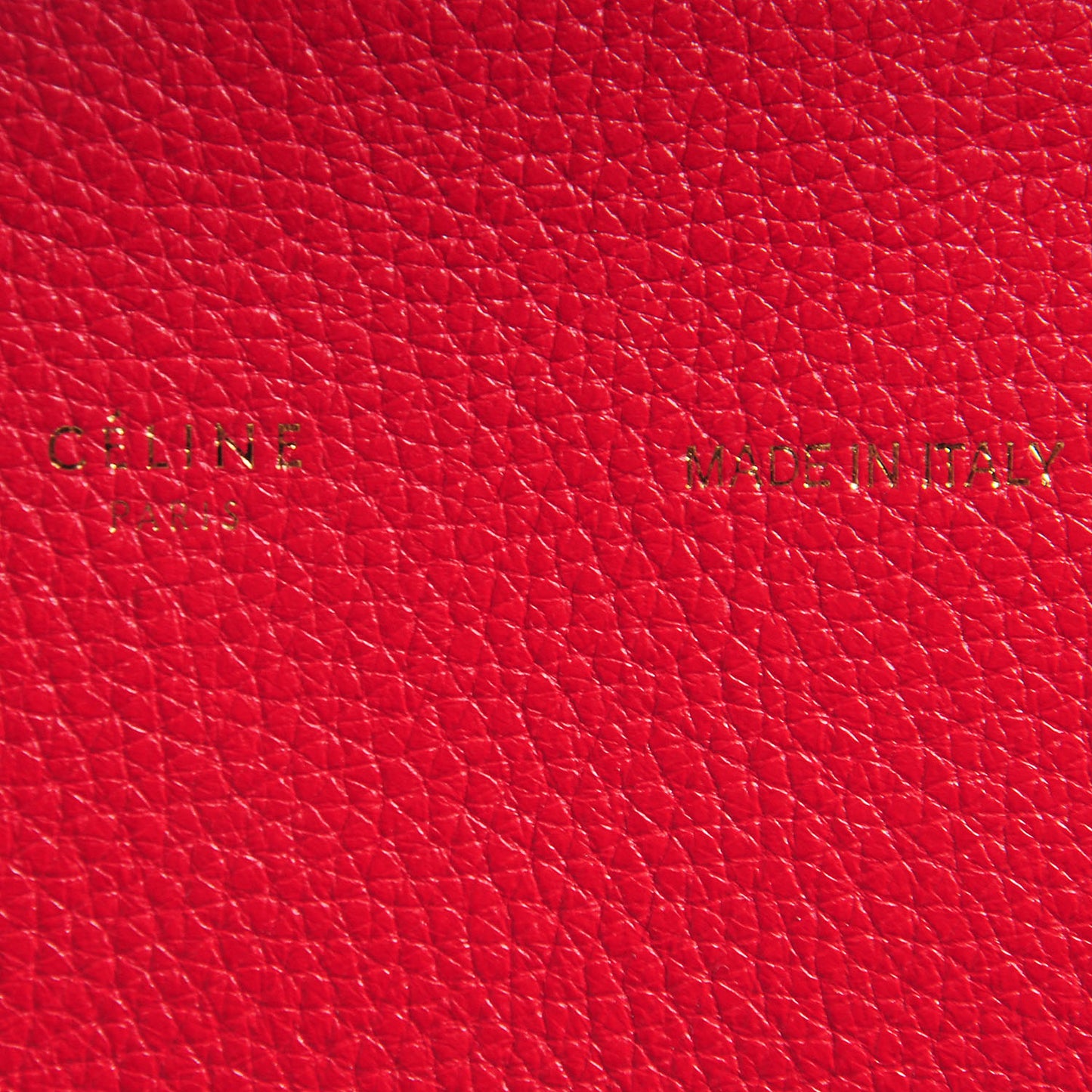 Grained Calfskin Medium Horizontal Cabas Phantom Vermillion