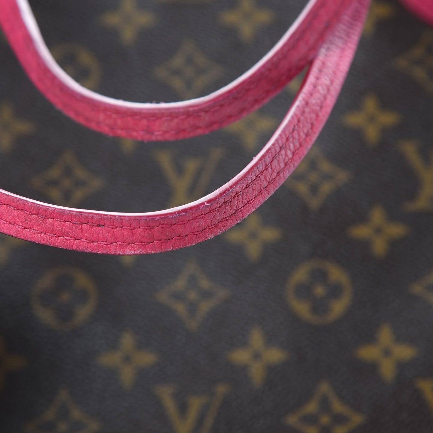 Monogram Articles de Voyage Ikat Neverfull GM Rose Indien
